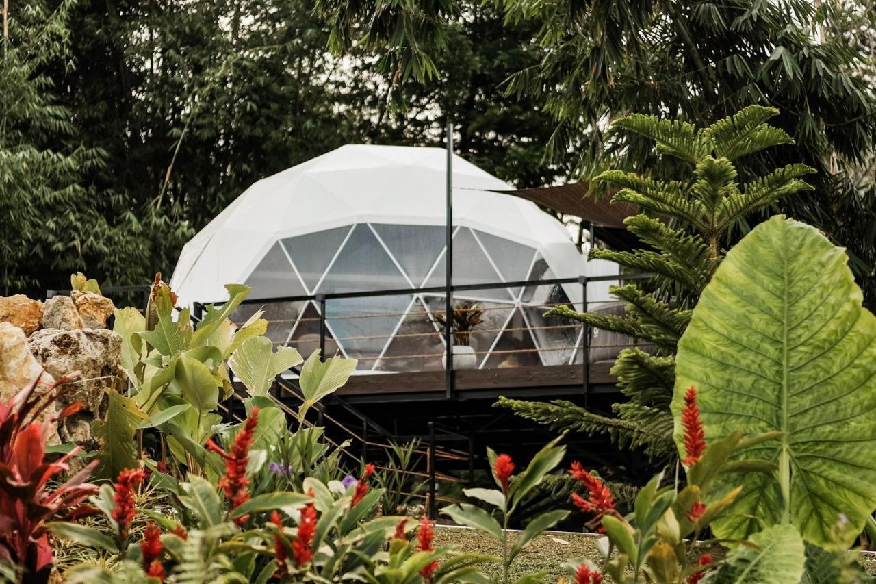 150 Peakway Mountain Resort Dalaguete Zewnętrze zdjęcie